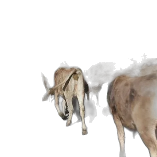 animal, creature, concept art, photorealistic transparent PNG cut-out
