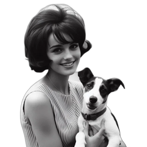 animal, dress, face, photorealistic transparent PNG cut-out