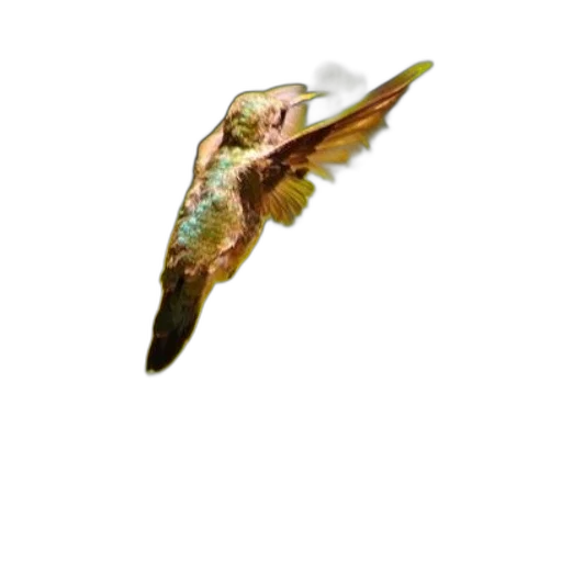 dragon, mask, animal, hat transparent PNG cut-out