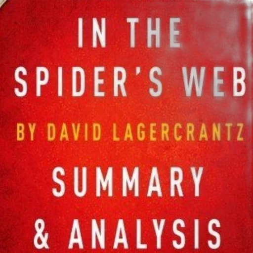 summary, analysis, spider, web transparent PNG cut-out
