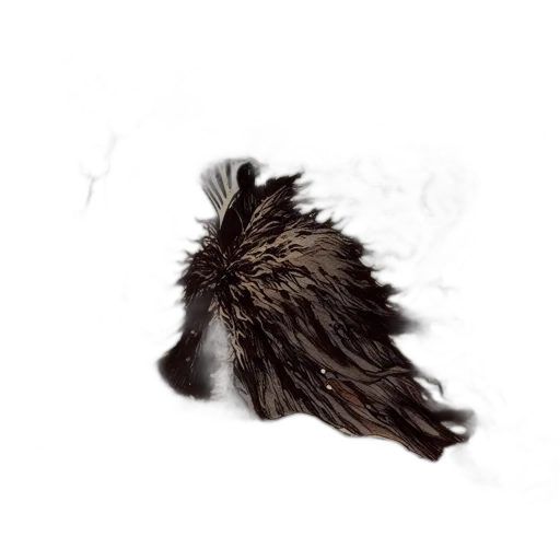 hair, hat, animal, crown transparent PNG cut-out