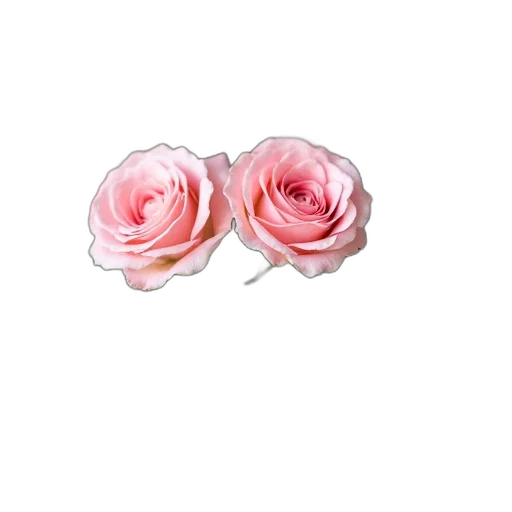 flower, jewelry, crown, staff transparent PNG cut-out