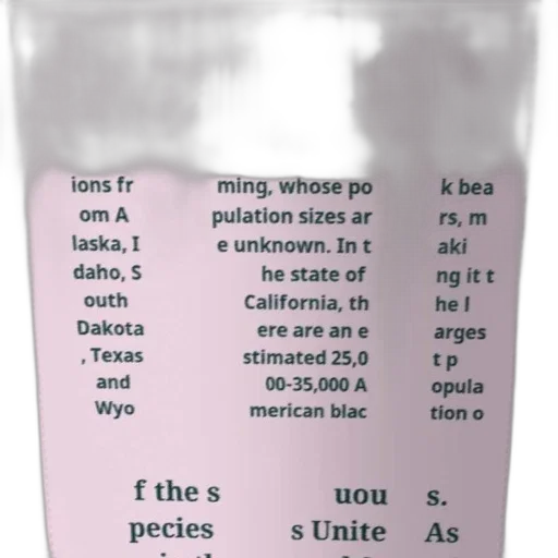 bottle, hair, poster, text transparent PNG cut-out