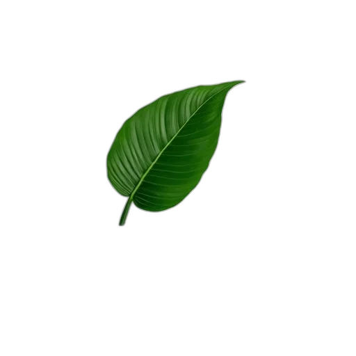 tree, staff, food, flower transparent PNG cut-out