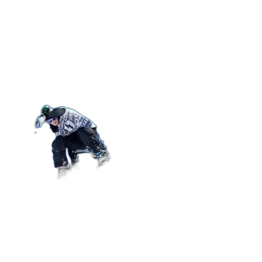 creature, jacket, animal, robot transparent PNG cut-out