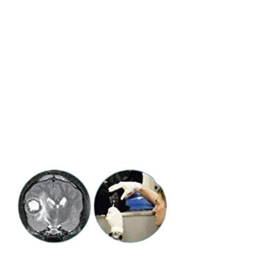 jewelry, furniture, robot, mask transparent PNG cut-out