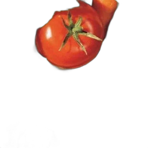 food, crown, flower, animal transparent PNG cut-out