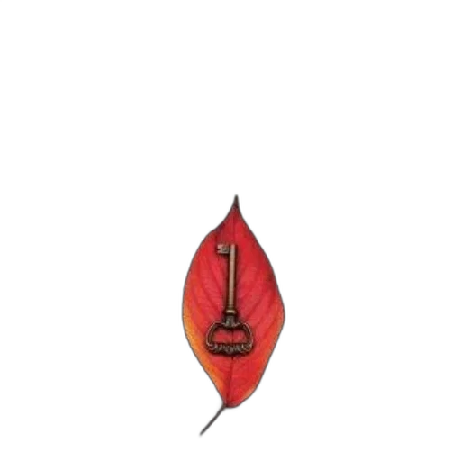 staff, umbrella, crown, sword transparent PNG cut-out