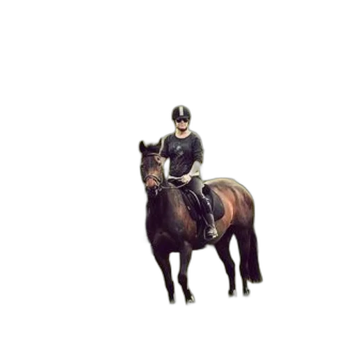 animal, staff, hat, photorealistic transparent PNG cut-out