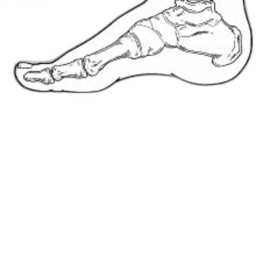 shoes, staff, jewelry, animal transparent PNG cut-out