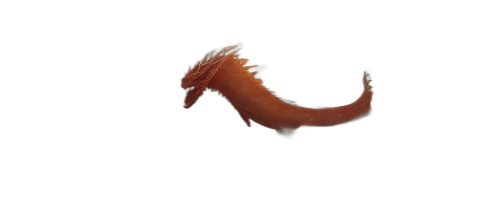 dragon, creature, animal, hair transparent PNG cut-out