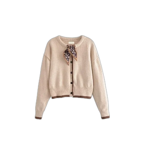 jacket, earth tones, beige, cardigan transparent PNG cut-out