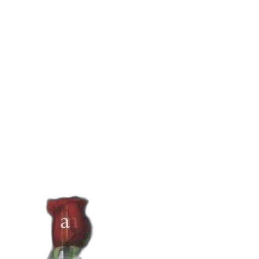 bottle, weapon, hat, shoes transparent PNG cut-out