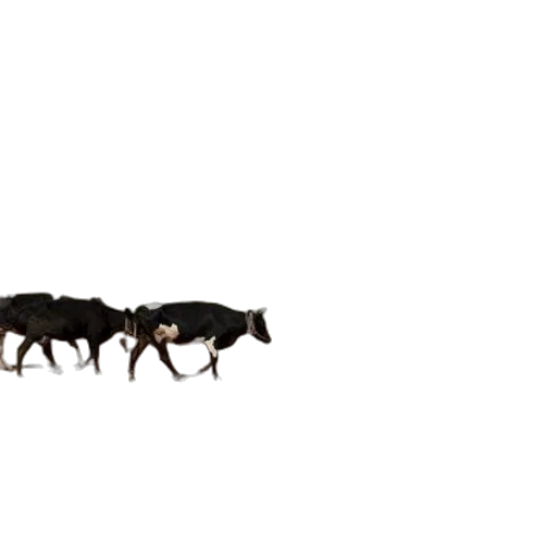 animal, dragon, crown, weapon transparent PNG cut-out