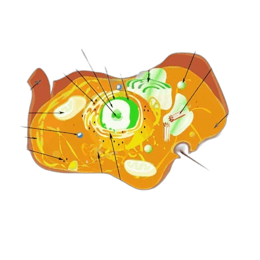mask, crown, robot, jewelry transparent PNG cut-out