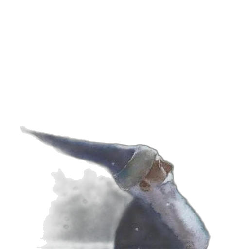 staff, hat, creature, sword transparent PNG cut-out