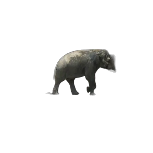 animal, creature, staff, weapon transparent PNG cut-out