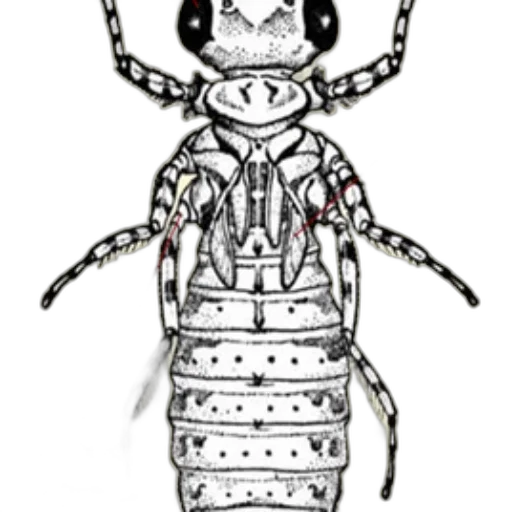 robot, animal, creature, staff transparent PNG cut-out