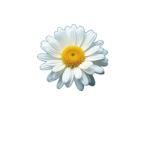 flower, jewelry, crown, staff transparent PNG cut-out