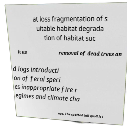 food, fog, forest, image transparent PNG cut-out