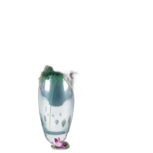 bottle, flower, dress, jewelry transparent PNG cut-out