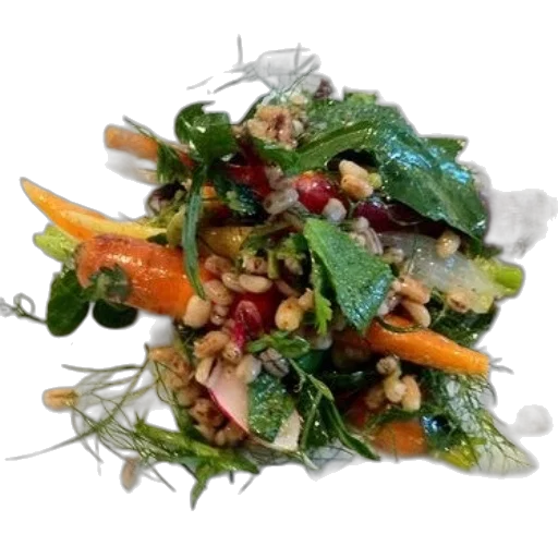 food, crown, plate, salad transparent PNG cut-out