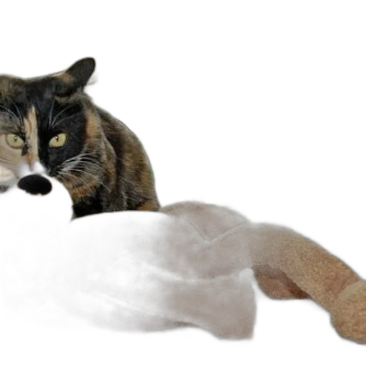 animal, creature, staff, photorealistic transparent PNG cut-out