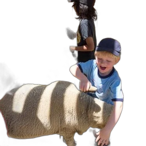 animal, creature, staff, hat transparent PNG cut-out