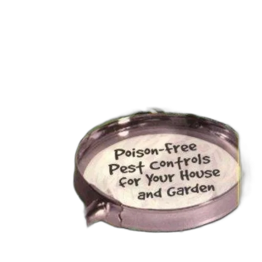 crown, jewelry, food, bug transparent PNG cut-out