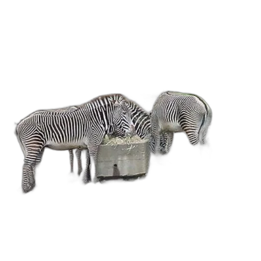 furniture, jewelry, animal, 3d render transparent PNG cut-out