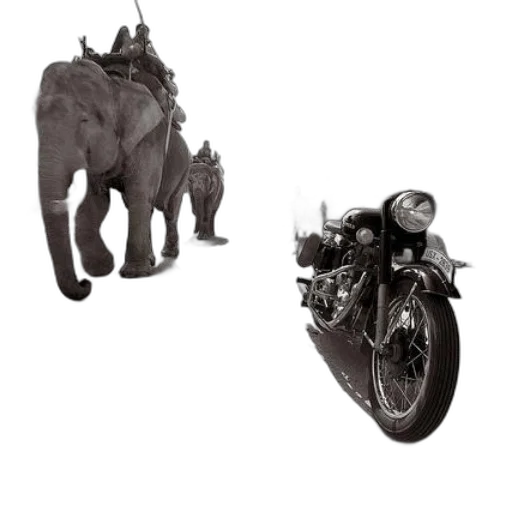 animal, creature, concept art, 3d render transparent PNG cut-out