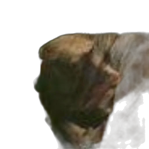 face, hair, creature, mask transparent PNG cut-out