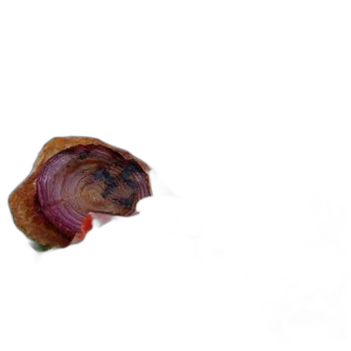 animal, hair, creature, food transparent PNG cut-out