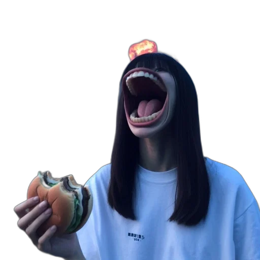 food, creature, animal, hat transparent PNG cut-out