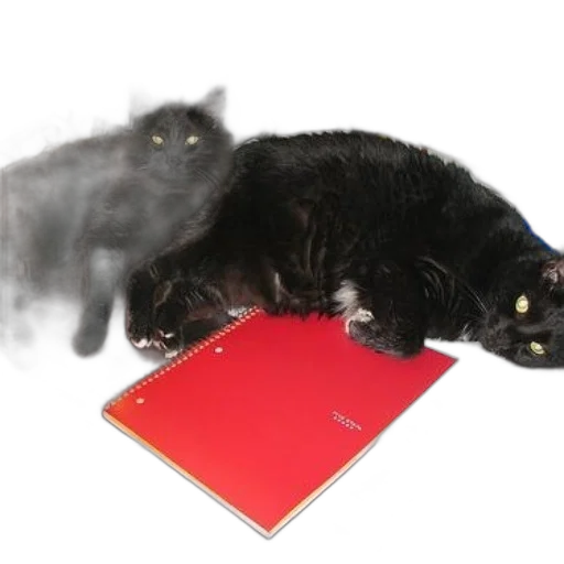 staff, animal, fire, two transparent PNG cut-out