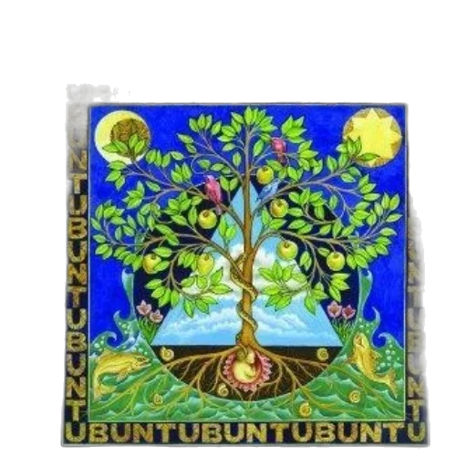 tree, forest, image, features transparent PNG cut-out