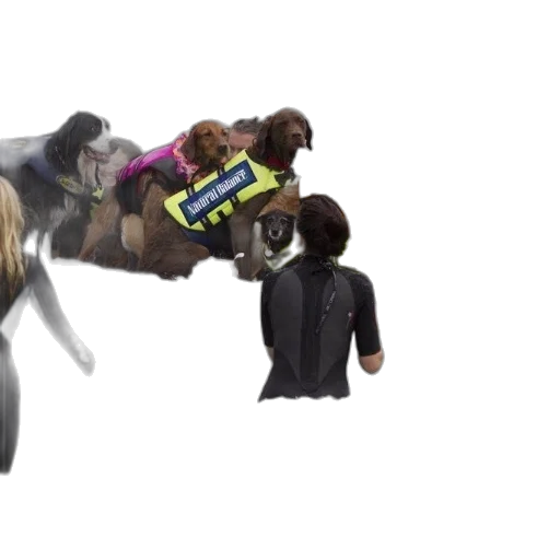 weapon, staff, animal, concept art transparent PNG cut-out
