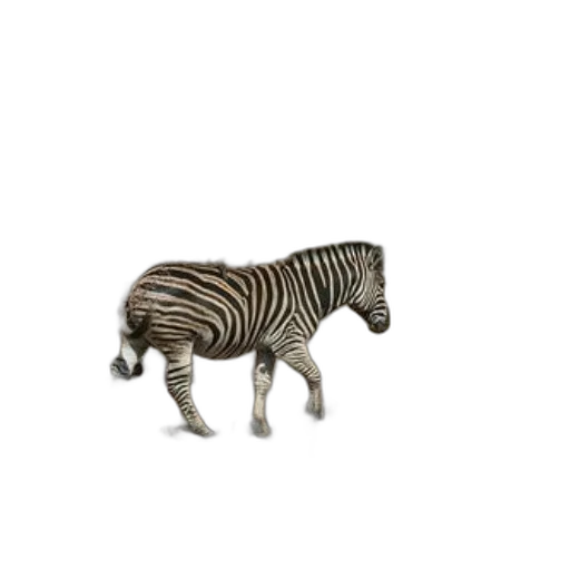 animal, creature, furniture, jewelry transparent PNG cut-out