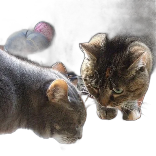 animal, weapon, creature, photorealistic transparent PNG cut-out