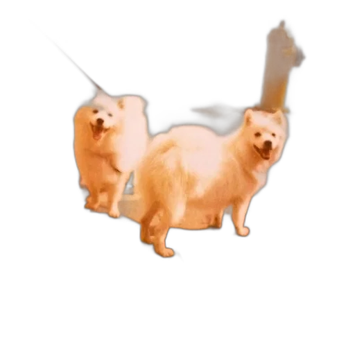 animal, staff, creature, weapon transparent PNG cut-out