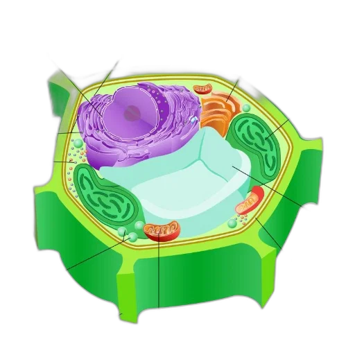 food, furniture, jewelry, 3d render transparent PNG cut-out