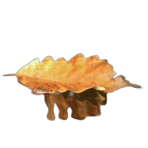 food, crown, hat, animal transparent PNG cut-out