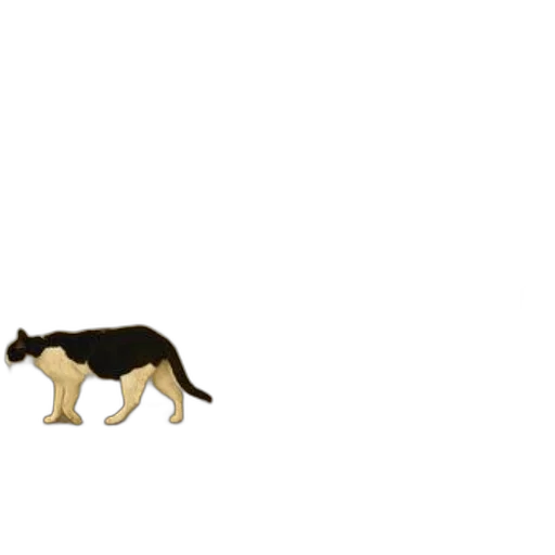 animal, creature, dragon, food transparent PNG cut-out