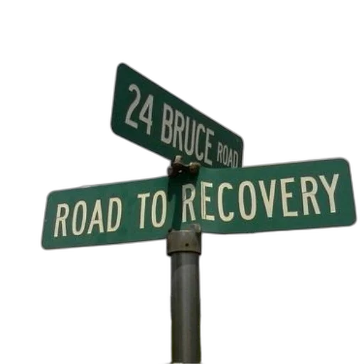 street, sign, reads, bruce transparent PNG cut-out