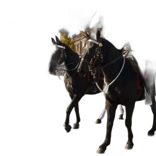 crown, animal, staff, dragon transparent PNG cut-out