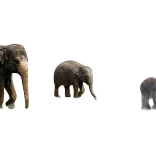 animal, creature, 3d render, concept art transparent PNG cut-out