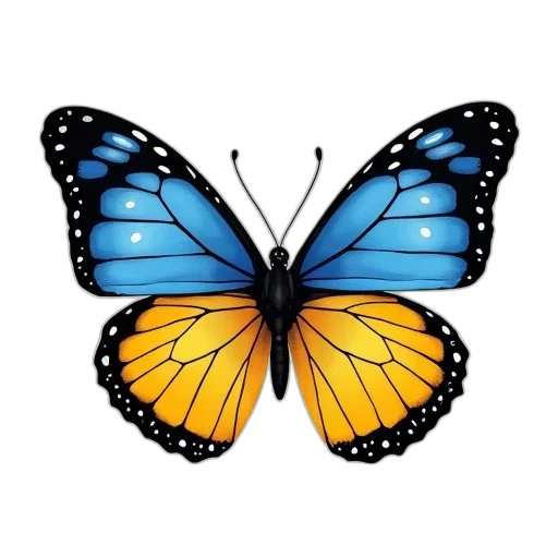 animal, jewelry, flower, crown transparent PNG cut-out