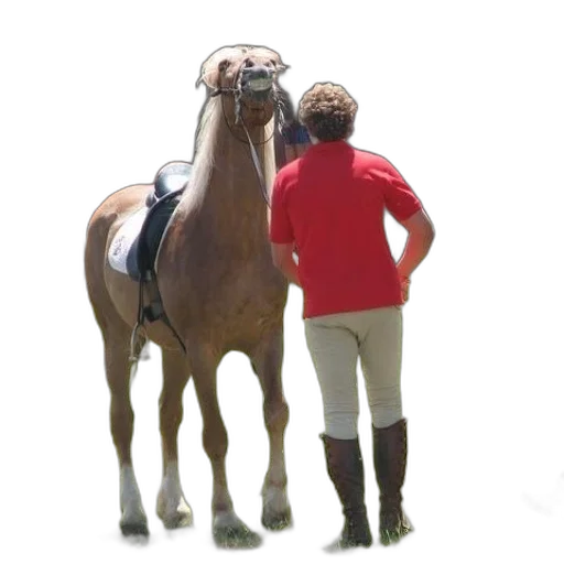 animal, staff, jacket, creature transparent PNG cut-out