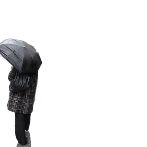 jacket, hat, umbrella, dress transparent PNG cut-out