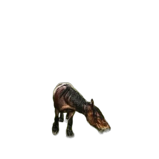 animal, creature, dragon, furniture transparent PNG cut-out